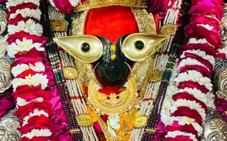 शक्ति स्वरूपा मां विंध्यवासिनी देवी दर्शन