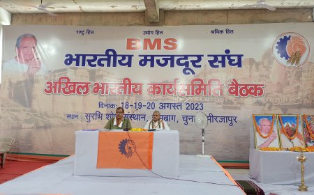 पीएम द्वारा विश्वकर्मा योजना लागू करने पर बीएमएस ने दी बधाई